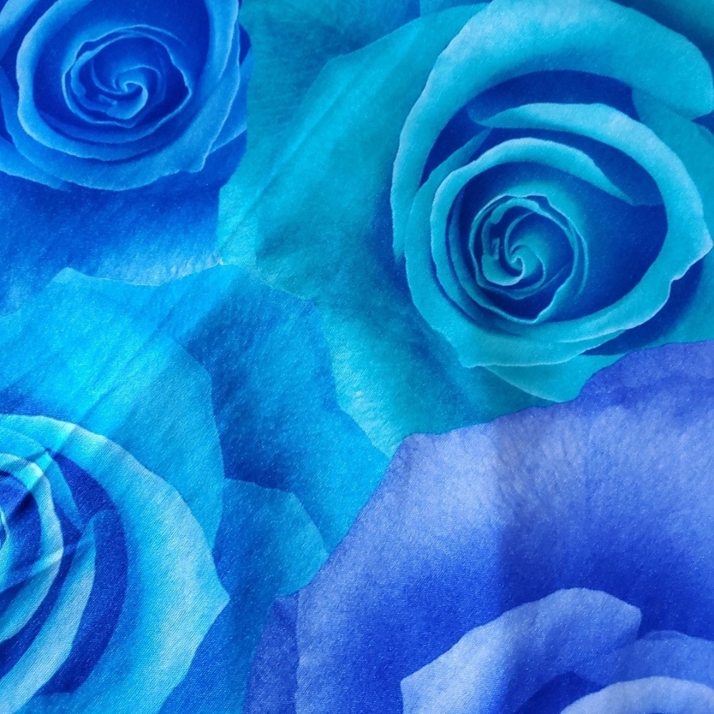 Vintage 00s Delias Inspired Blue & Purple Rose A-Line Maxi Skirt Women's Size 12 - Picture 4 of 8